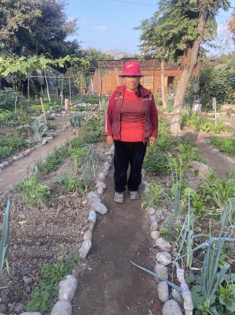 La señora Bertha es parte de las mujeres que le dedican gran parte de su tiempo al huerto en Comas Crédito: Gloria Alvitres