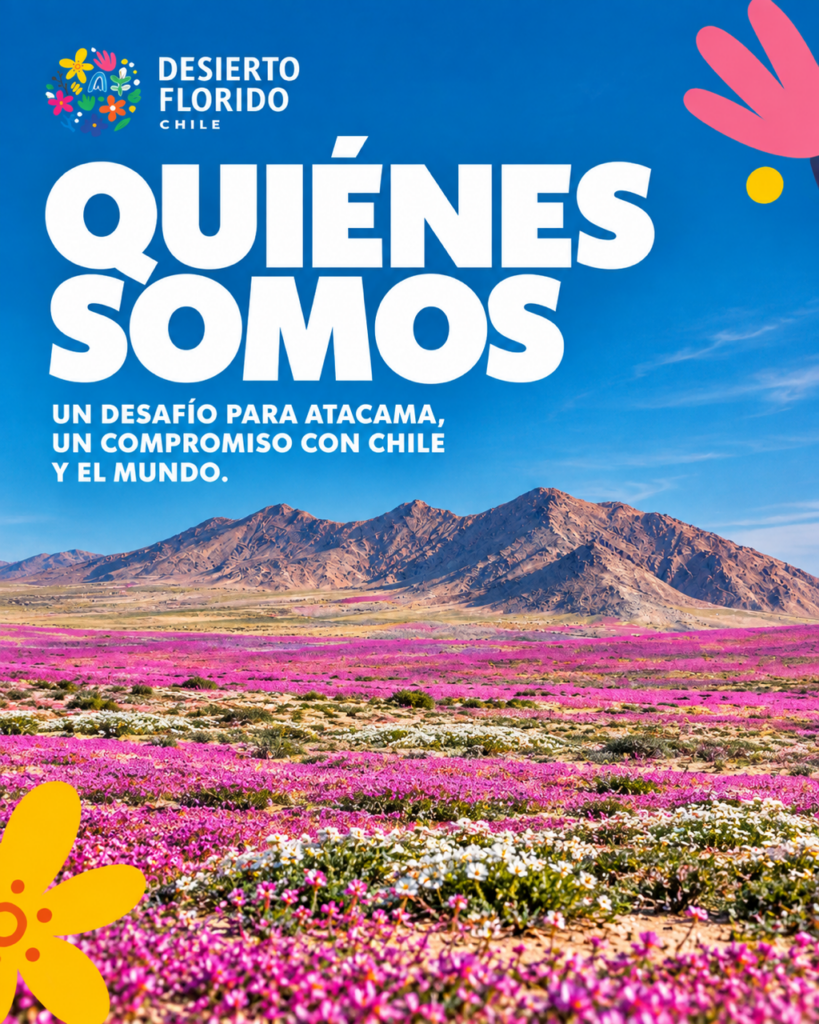 Gráfica Desierto Florido. Créditos: @desiertofloridocl