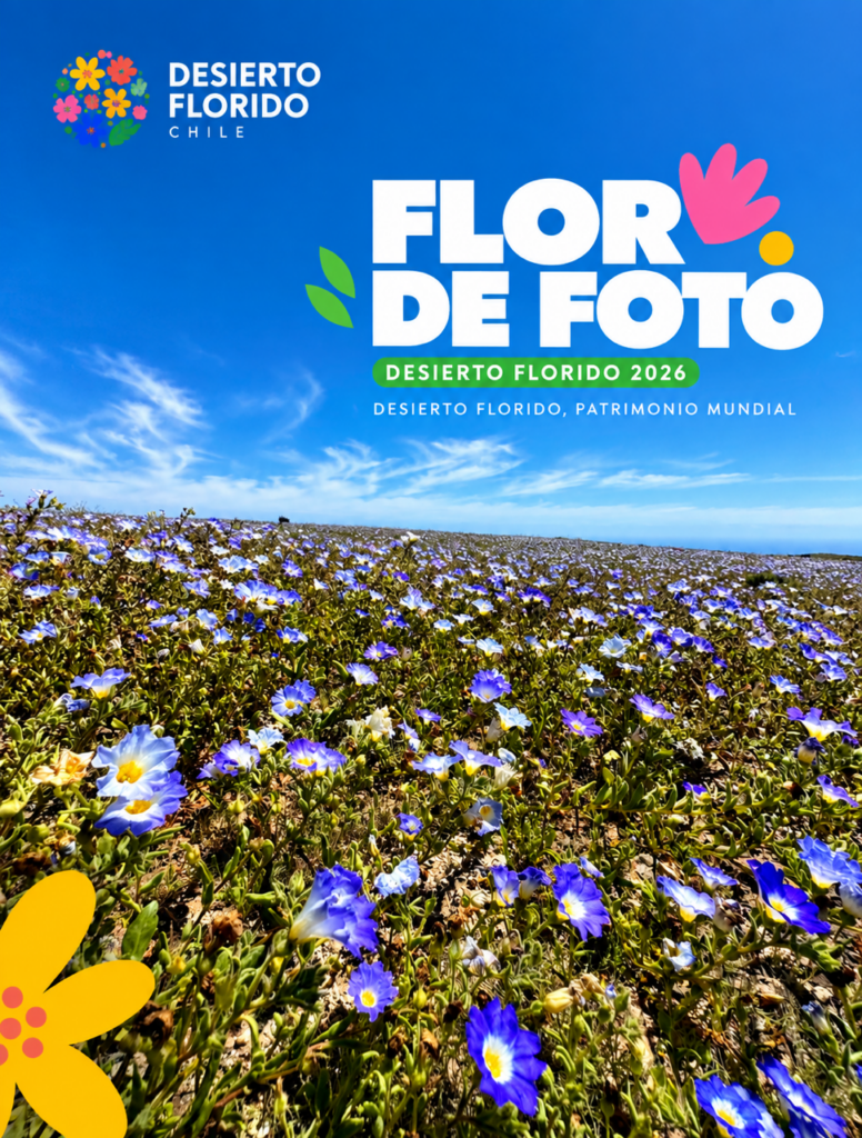 Gráfica Flor de Foto. Créditos: @desiertofloridocl