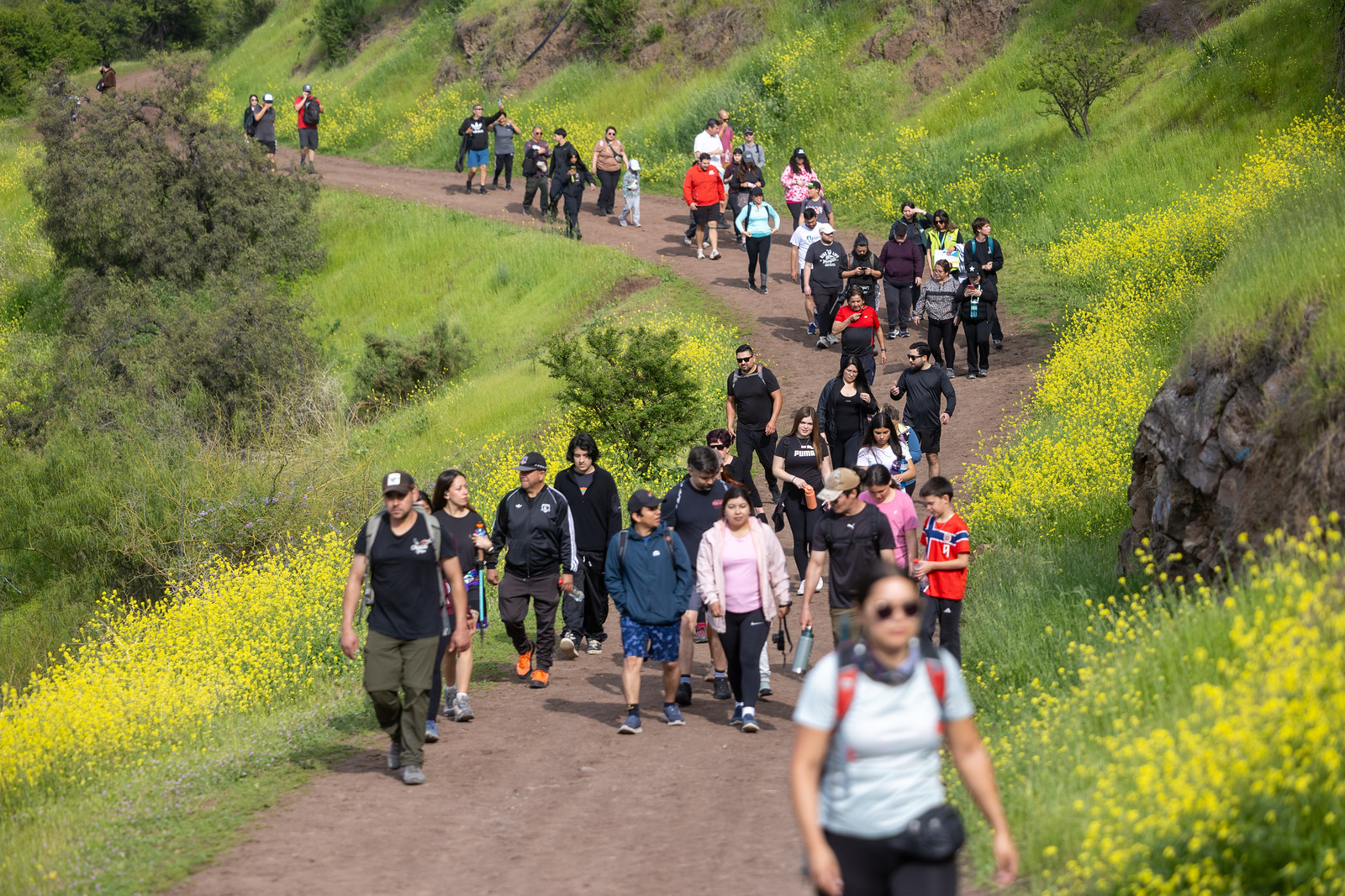Más de 10.000 personas participaron en el Día de los Cerros 2026 a lo largo de Chile