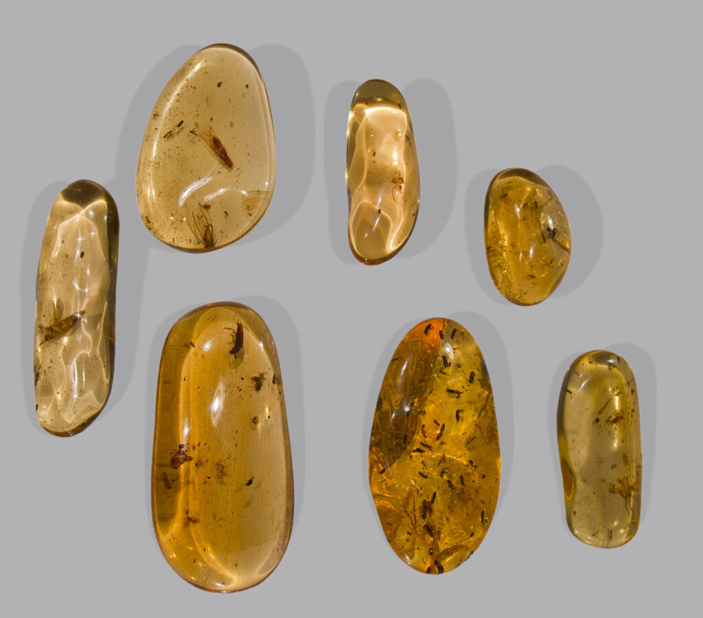Resina de copal. Créditos: Didier Descouens (Wikimedia Commons)