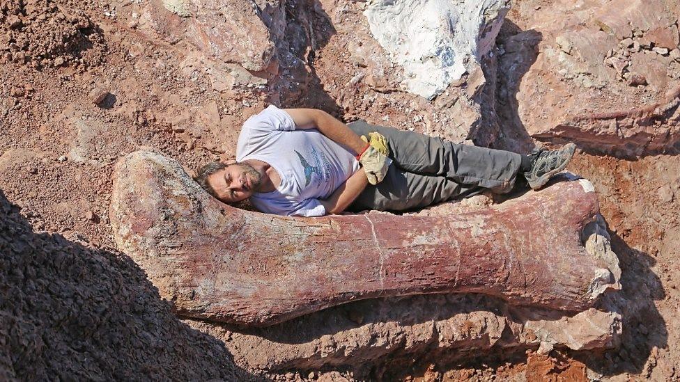 Diego Pol al lado del fémur de Patagotitan. Créditos: BBC