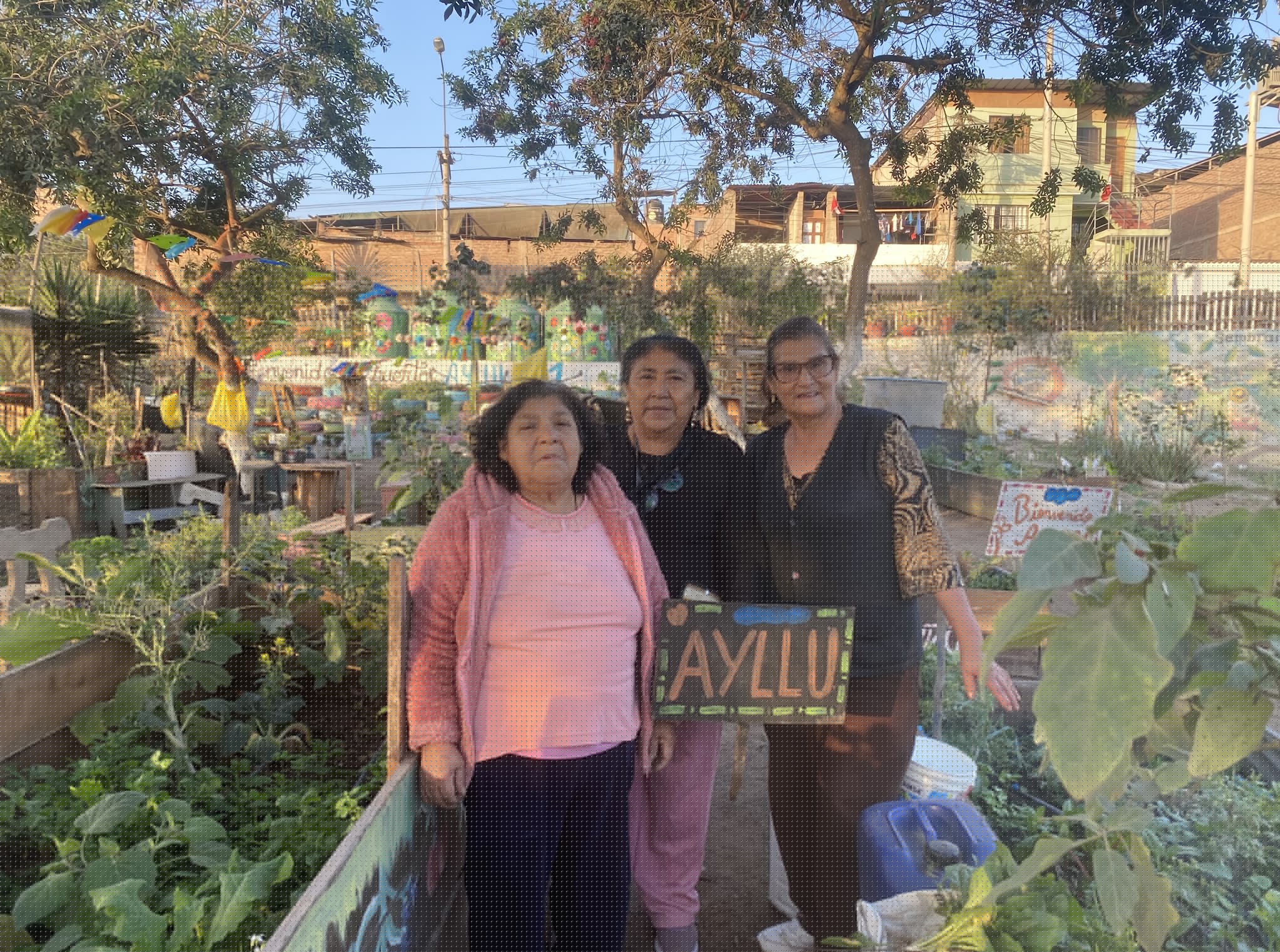 La directiva de Ayllu 21 ha luchado por mantener su huerto en contextos complicados climáticos Crédito: Gloria Alvitres