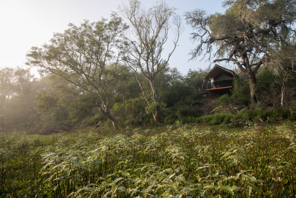El Bermejito Créditos: Estrella Herrera, Fundación Rewilding Argentina