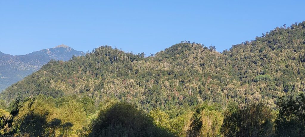 Habitat Créditos: Fundación Ñankulafkén