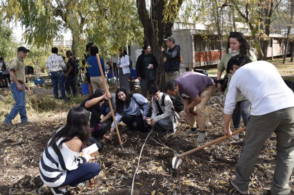 Huerto comunitario 
Cortesía: Universidad de Chile