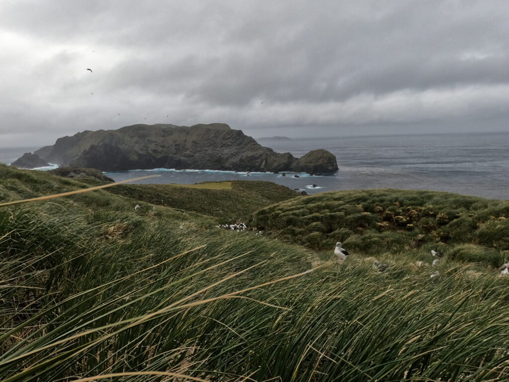 Isla Créditos: Cristian G. Suazo