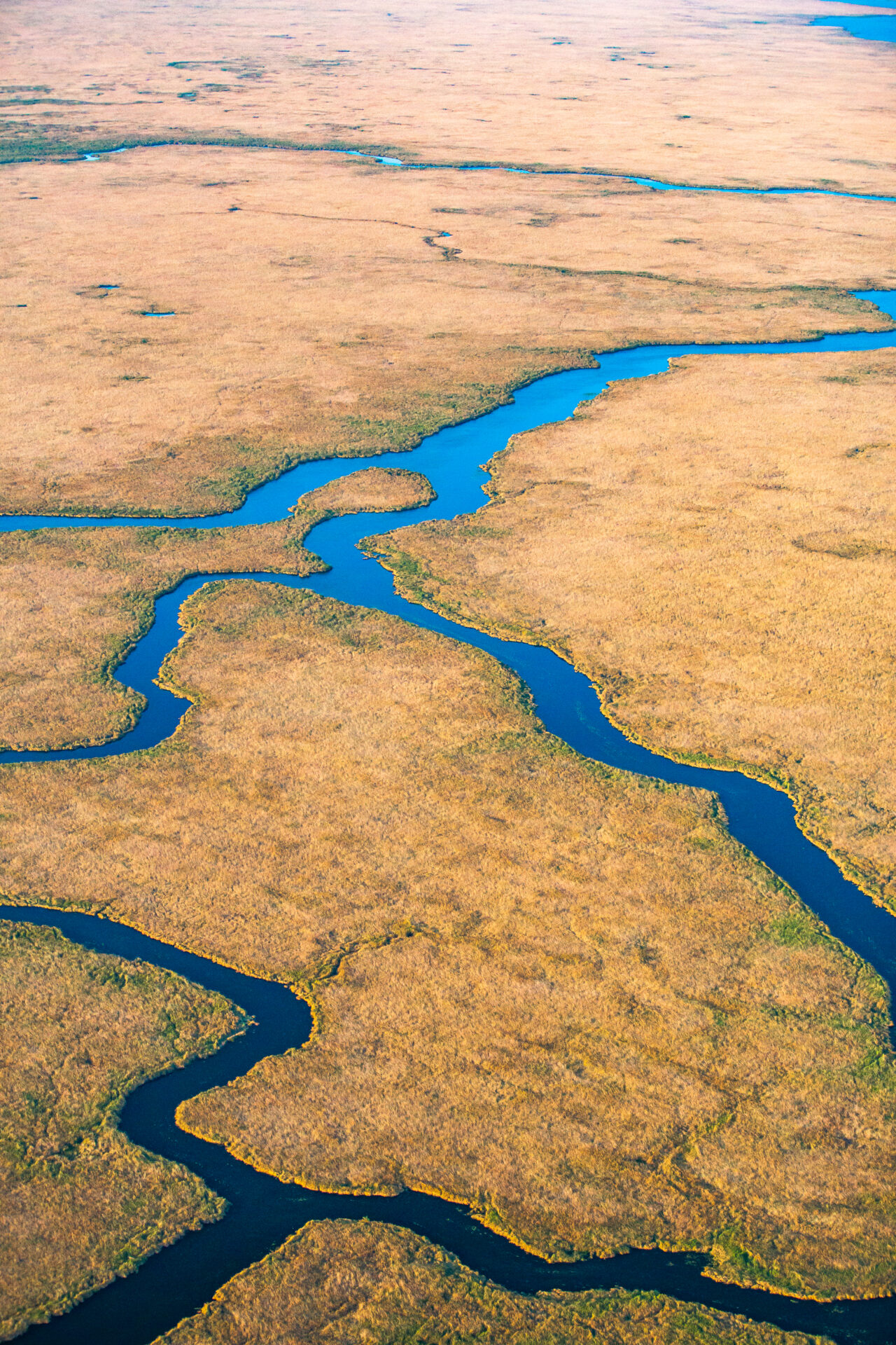 ¡Buenas noticias! Presentan Jaguar Rivers, alianza continental para restaurar la cuenca del río Paraná