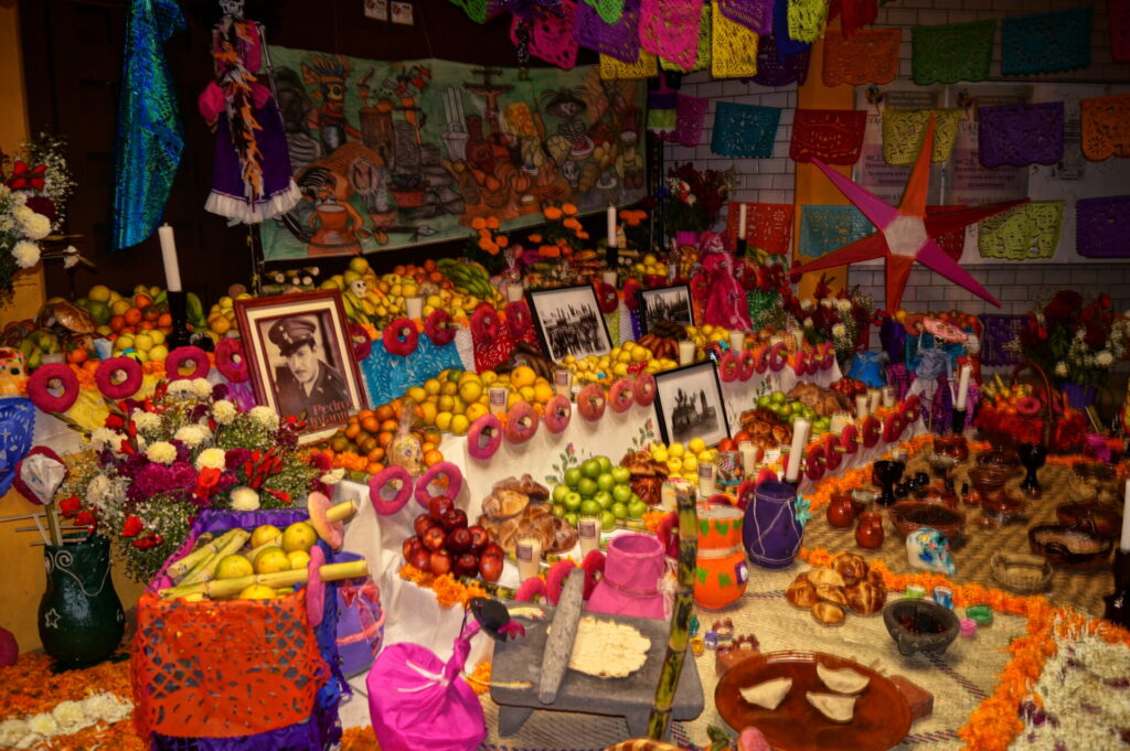 Más allá del cempasúchil, las ofrendas de Día de Muertos reúnen flores, frutos, semillas y otros elementos naturales cargados de significado. Créditos: MayraFalcon (Wikimedia Commons)
