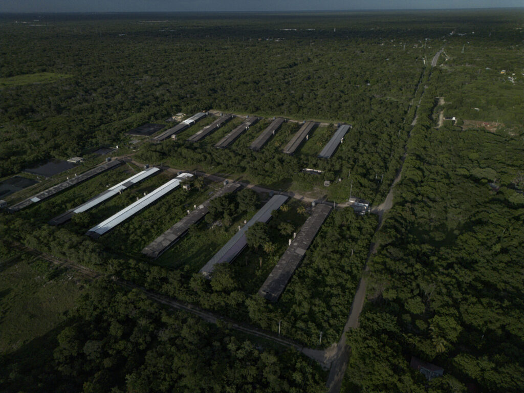 Las megagranjas de Yucatán concentran la producción industrial de cerdos y generan grandes volúmenes de residuos. Su manejo es motivo de preocupación por los posibles efectos sobre el suelo y el agua subterránea. Créditos: Greenpeace México