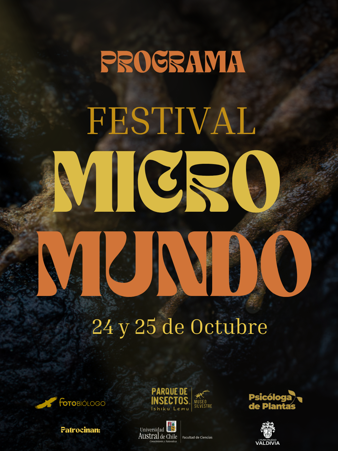 Micromundo: un festival para descubrir la grandeza de lo pequeño
