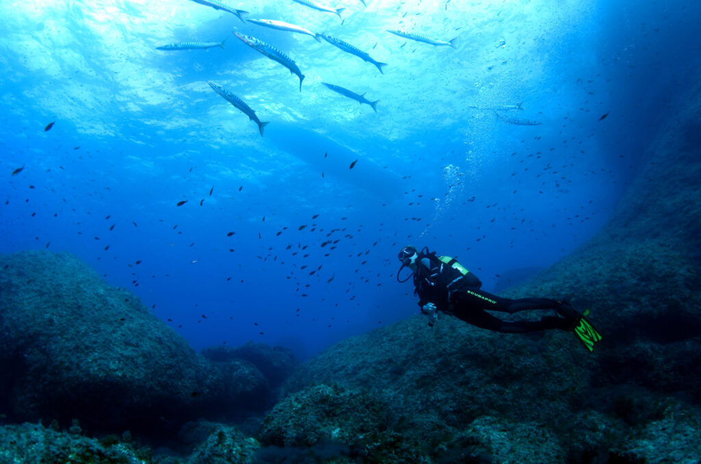 Alexandra Cousteau, observando las barracudas (Sphyraena sp.). Cala Galiota, Parque Nacional de Cabrera, islas Baleares, España. Actos para apoyar la ampliación del Parque de Cabrera. Octubre 2013.