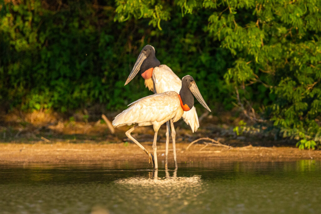 Parque Nacional Créditos: Matías Rebak