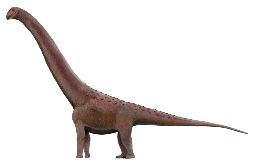 Recreación en vida de Patagotitan mayorum. Créditos: Levi Martinez-Reza