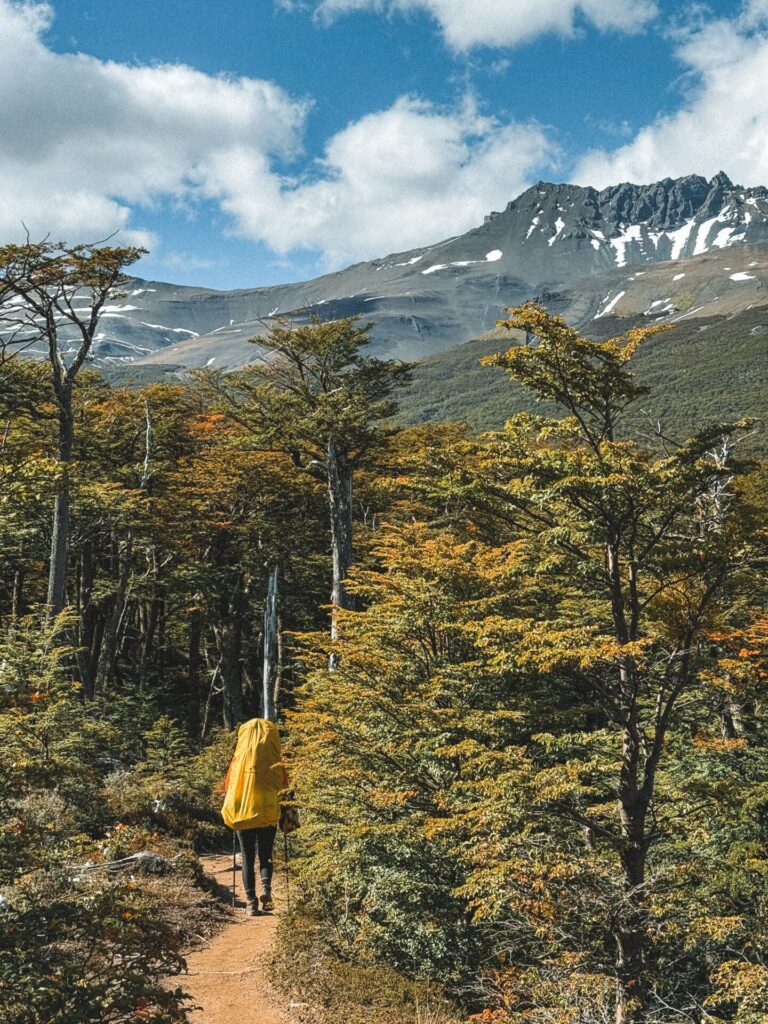 Exploración. Créditos: Marina Zvada, vía Pexels.