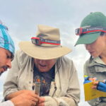 Las mediciones se realizan lo más rápidamente posible para minimizar el tiempo de manipulación y reducir el estrés de los pingüinos. Foto: cortesía Aura Banda