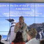 Dee Boersma ha estudiado durante 56 años la especie. Foto: cortesía Fundación Jocotoco