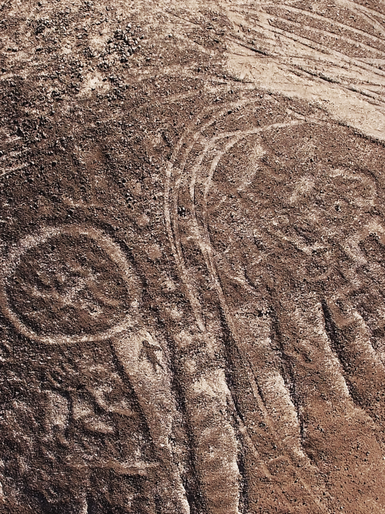 Fundación Desierto de Atacama