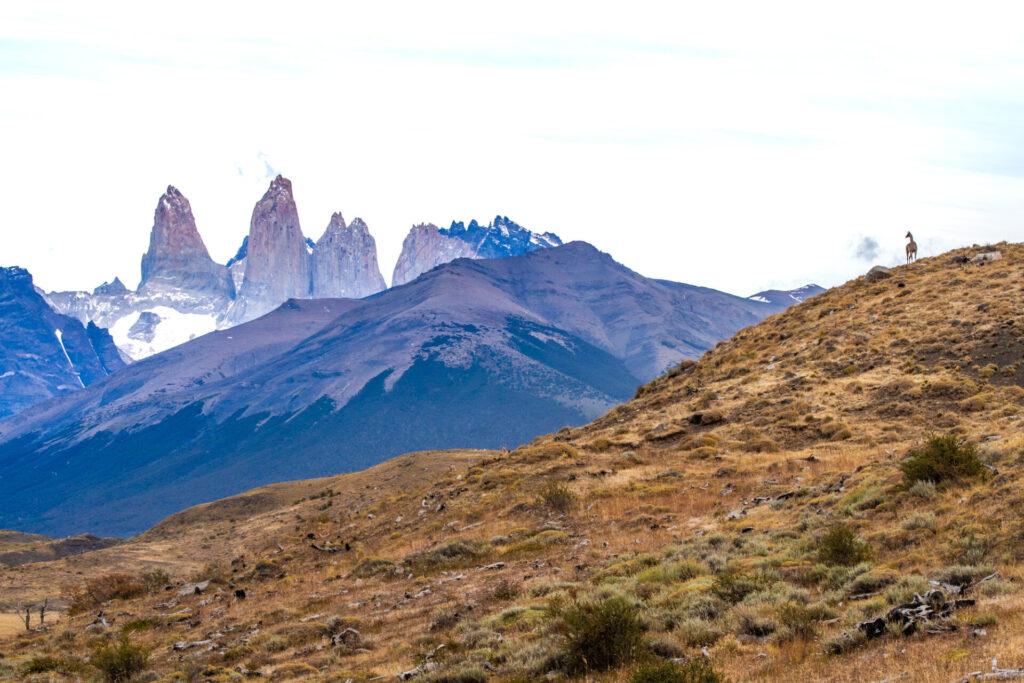 Torres del Paine. Créditos Francisco Boetsch