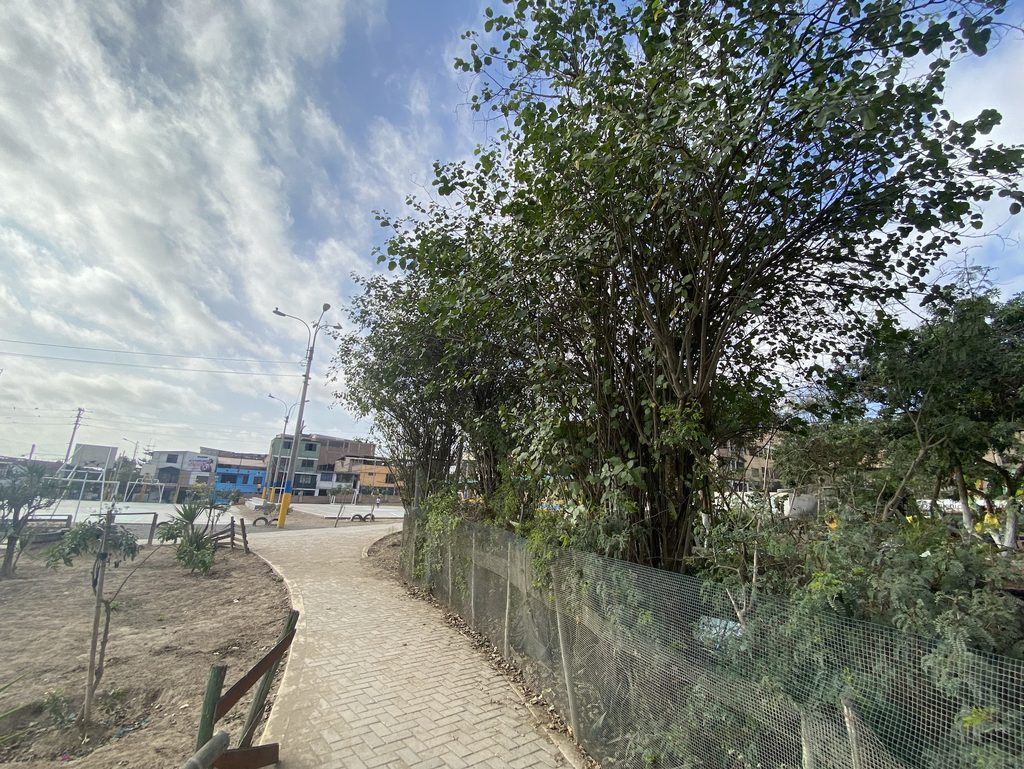 Ayllu21 es un pequeño oasis en Villa El Salvador, Lima. Crédito: Gloria Alvitres