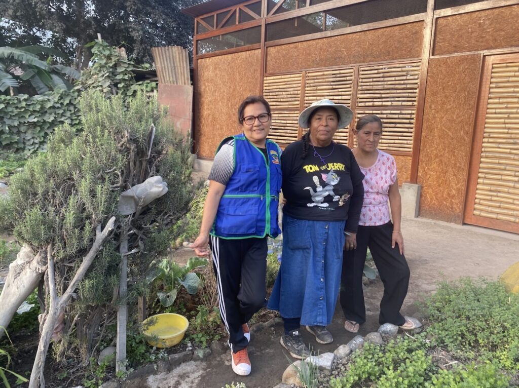 Imagen de la nota original en Ladera Sur