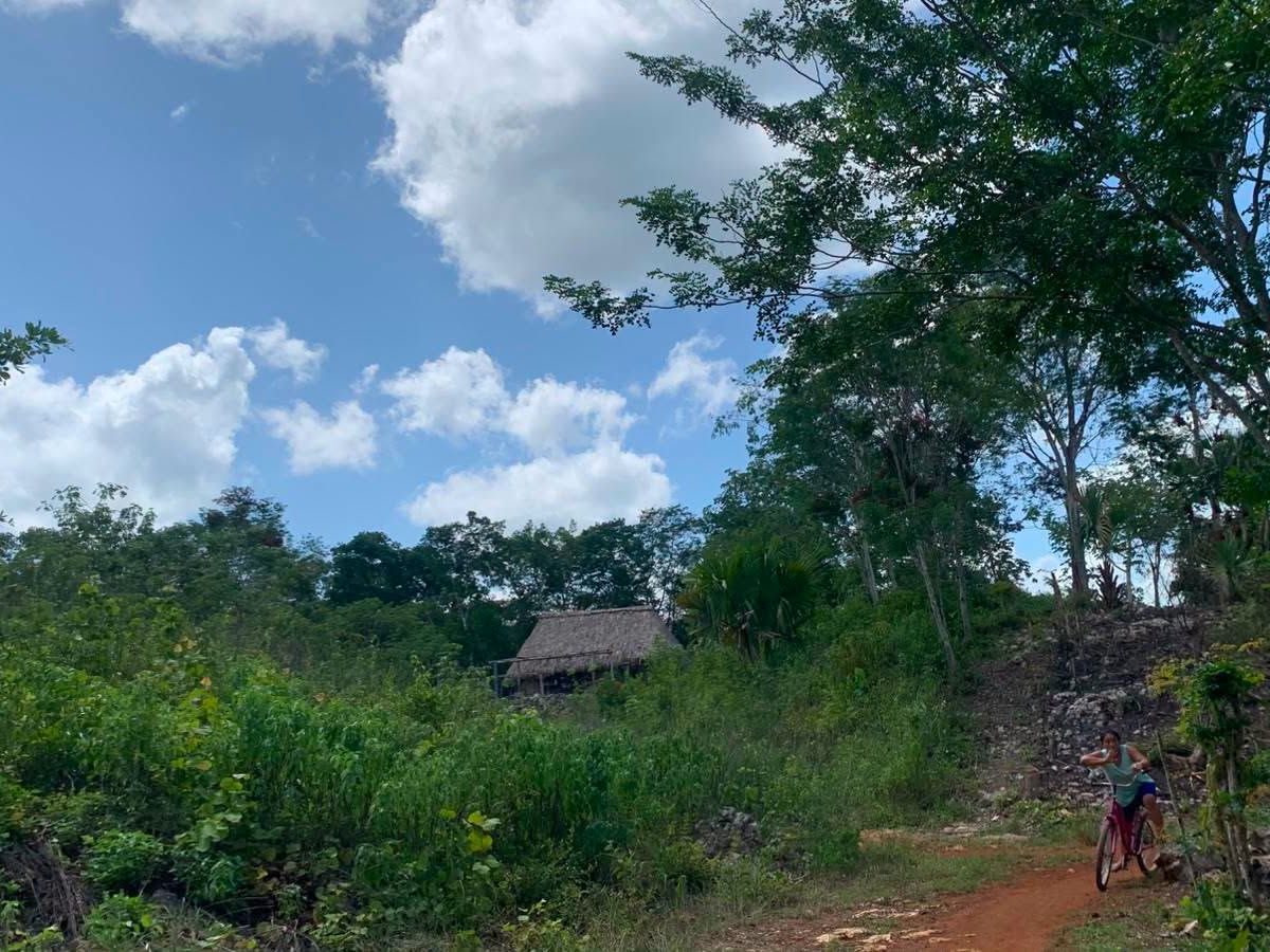 Felipe Carrillo Puerto está ubicado al sur de Quintana Roo. Foto: Fátima V.